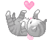 cat playing gif