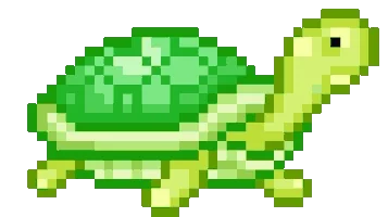 turtle gif